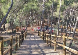 Zona de ocio recientemente creada en el parque forestal de Monte Victoria.