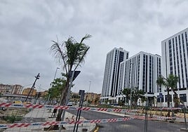 Edificios de viviendas en alquiler que ya se han levantado en la zona de La Princesa.