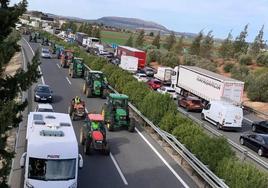 Estas son las movilizaciones previstas del campo andaluz para su tercera semana de protestas