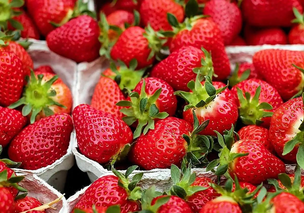 Alerta sanitaria por la presencia de Hepatitis A en fresas procedentes de Marruecos