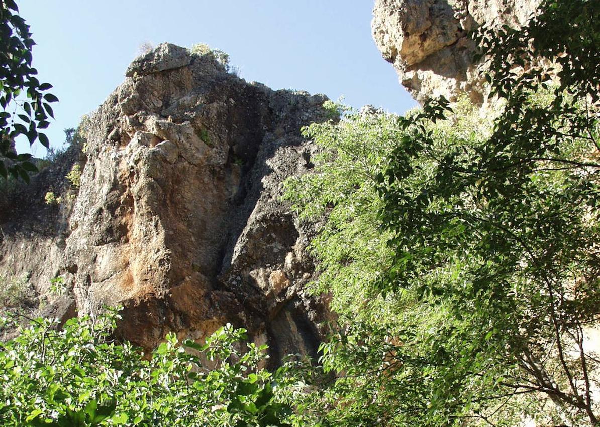 Imagen secundaria 1 - Grieta interior de la Torca de Mollina. La vegetación se adapta al microclima que tiene esta sima y hay que tener precaución para visitar este enclave geológico.