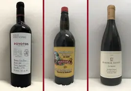 La cata: los vinos recomendados en la segunda semana de marzo