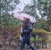 Cinco provincias andaluzas en aviso en un fin de semana de lluvia, nieve, viento y temporal marítimo