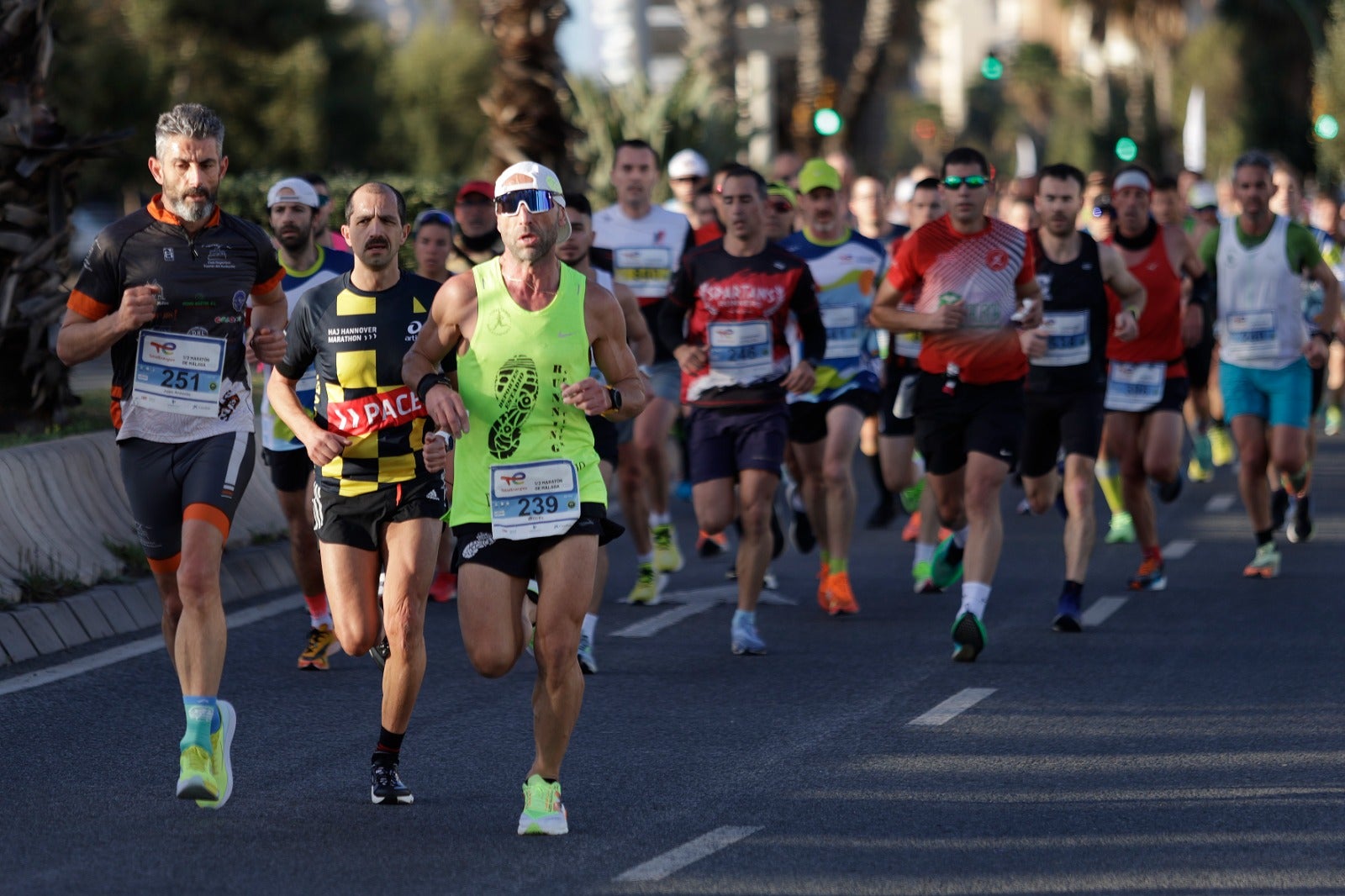 La XXXIII Media Maratón Ciudad de Málaga, en imágenes