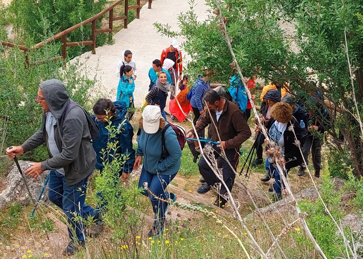 Durante estar jornadas habrá rutas guiadas para la observación de orquídeas.