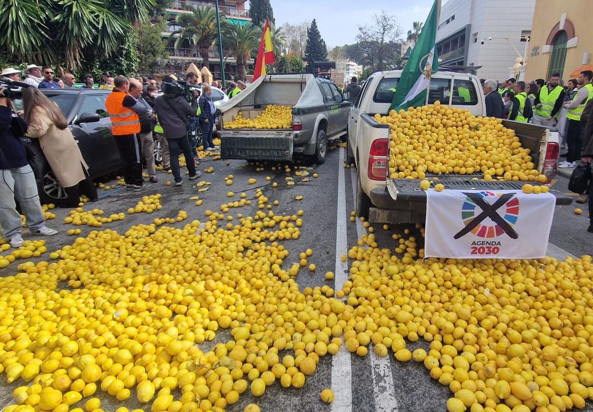 Limones lanzados a la calzada, este lunes, en Málaga.
