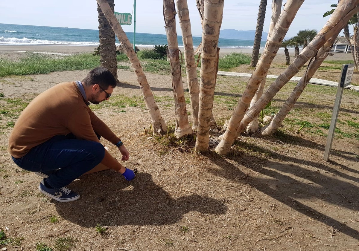 Recogida de muestras de heces de perro en la playa.