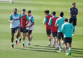 Jugadores del Málaga se ejercitan en La Rosaleda en una sesión de esta semana.