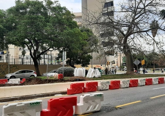 Árboles afectados por la obra del metro en la mediana de Hilera.