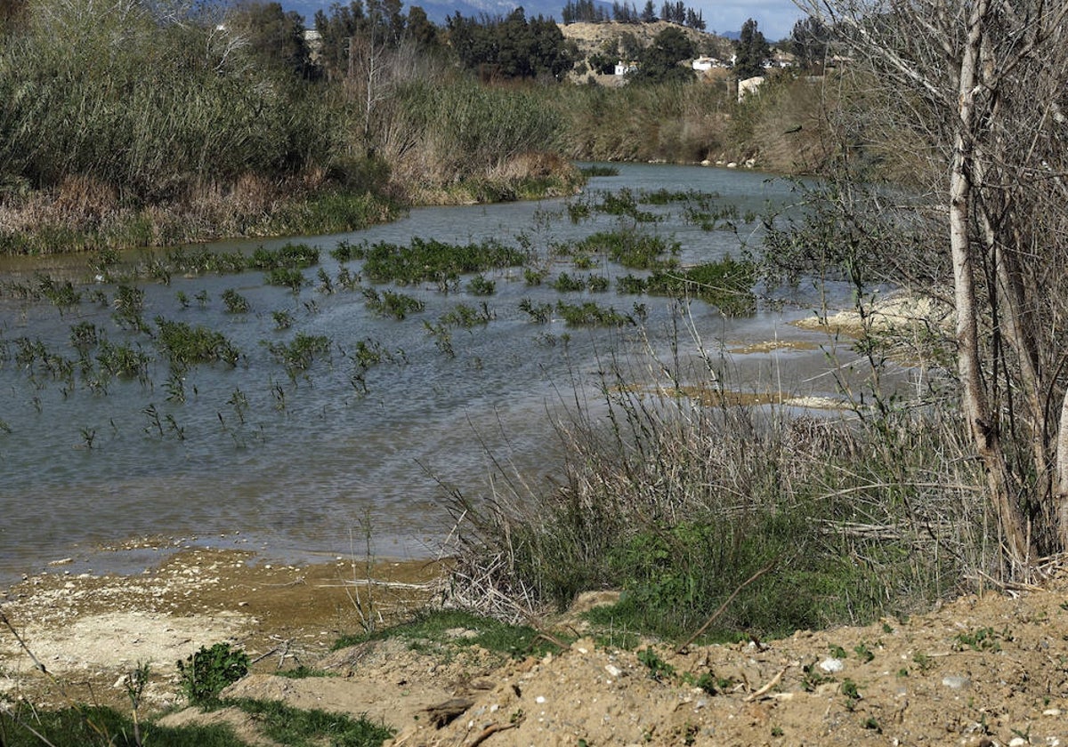 El Guadalhorce recibe el agua del Grande unos metros antes del azud y pozos de Aljaima (Cártama).