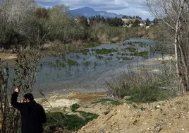 El Guadalhorce recibe el agua del Grande unos metros antes del azud y pozos de Aljaima (Cártama).