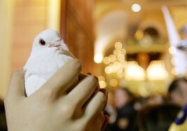 La suelta de palomas al paso de la Virgen de la Paloma es una de las señas de identidad de la Semana Santa de Málaga.