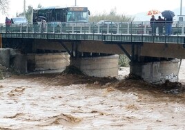 Imagen de la crecida del río Campanillas durante la borrasca Gloria.