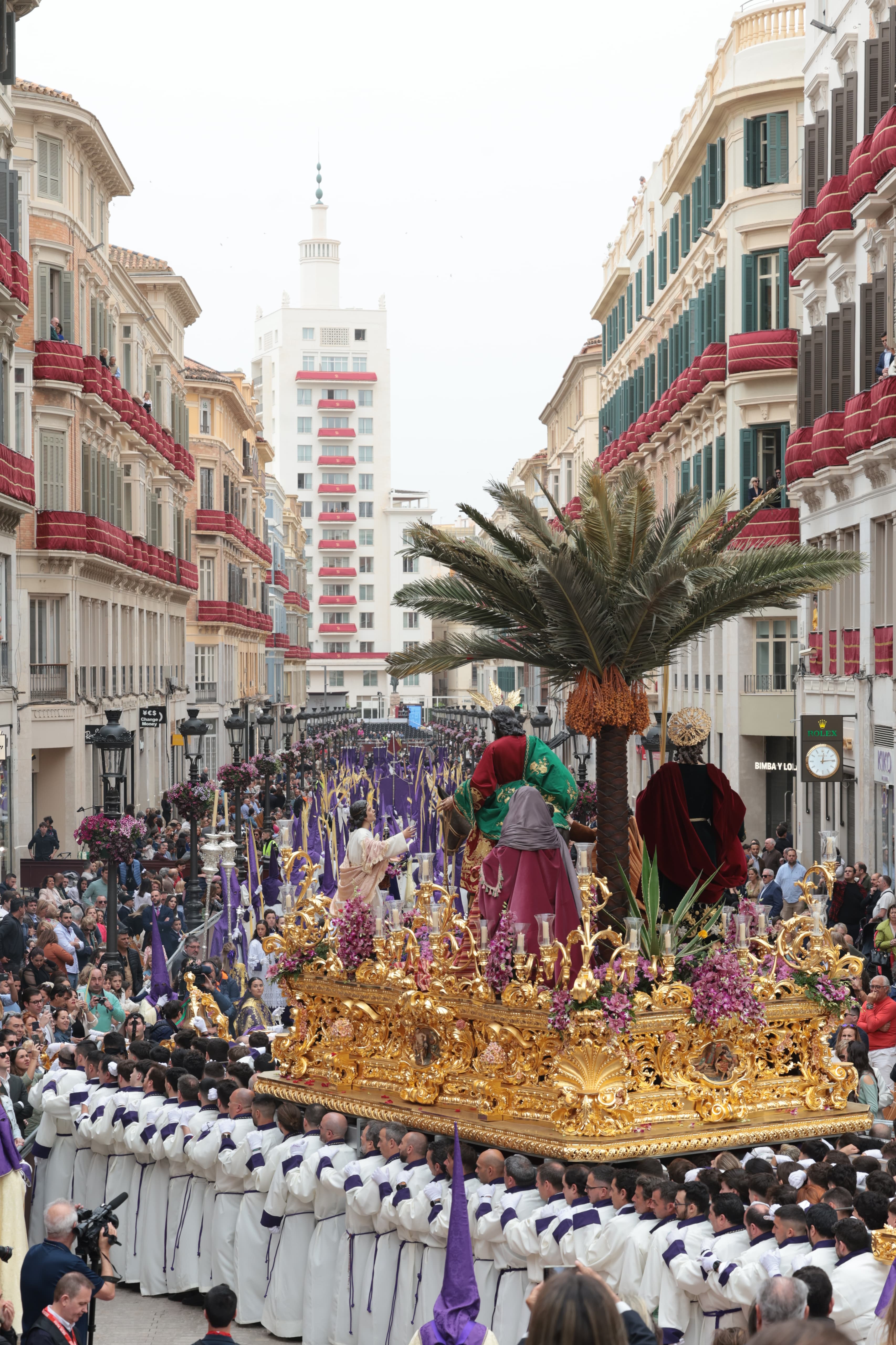 La Pollinica, este Domingo de Ramos en Málaga