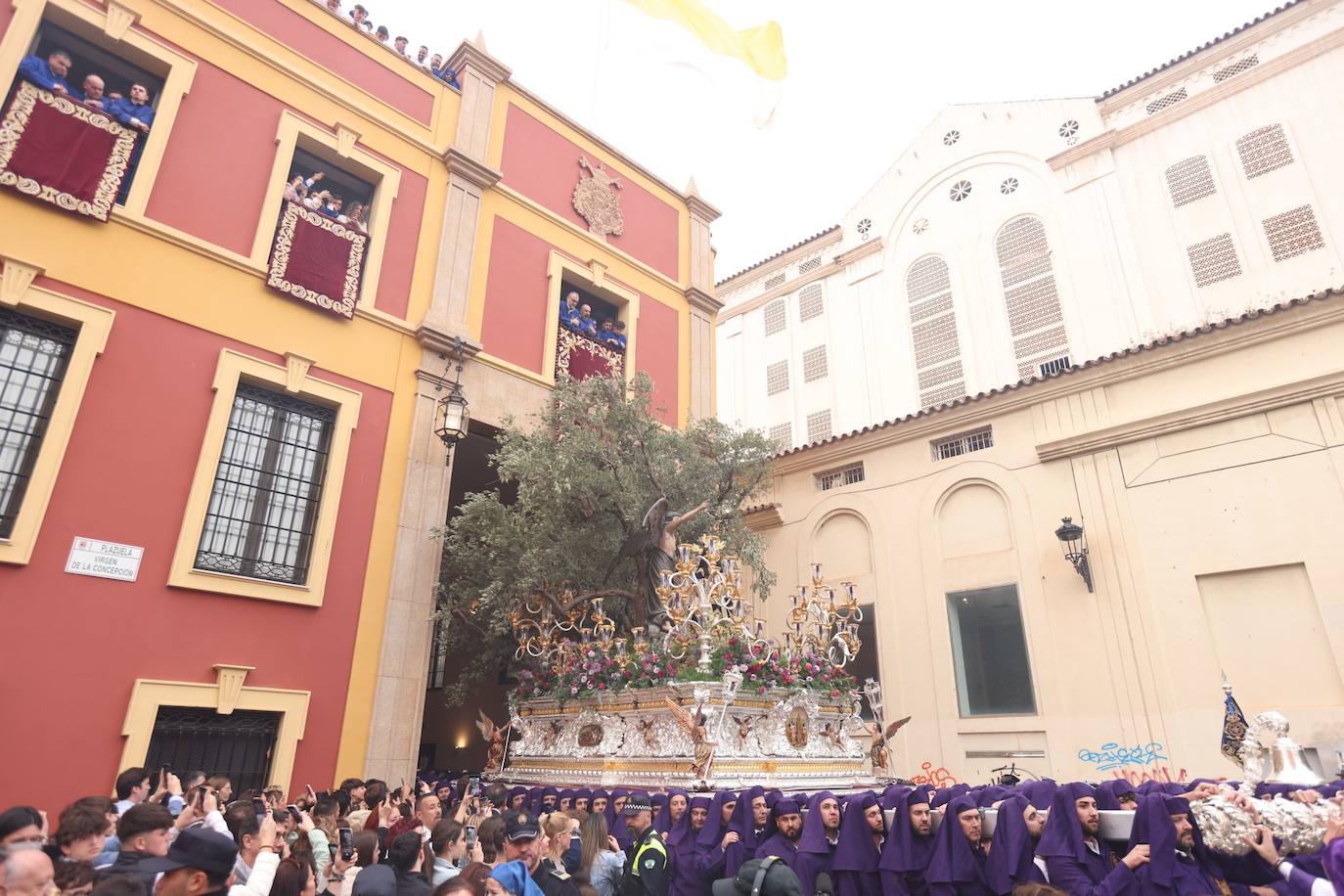 Las mejores imágenes del Domingo de Ramos en Málaga