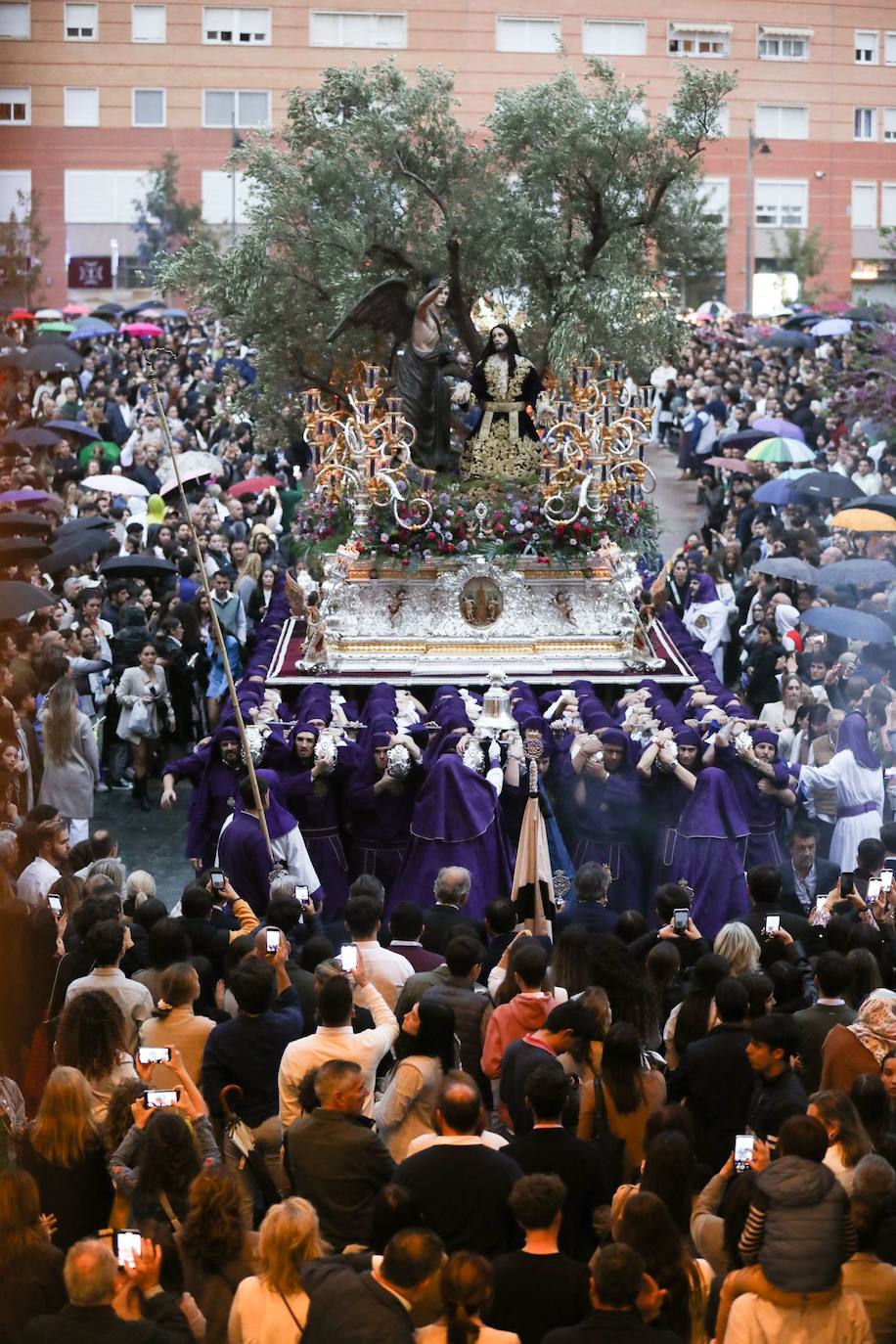 Las mejores imágenes del Domingo de Ramos en Málaga