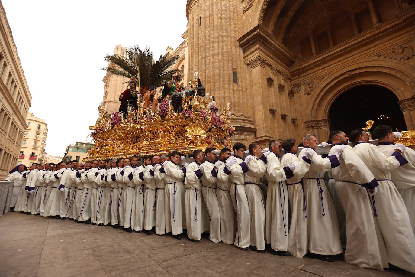 Pollinica, en la Catedral de Málaga, este Domingo de Ramos