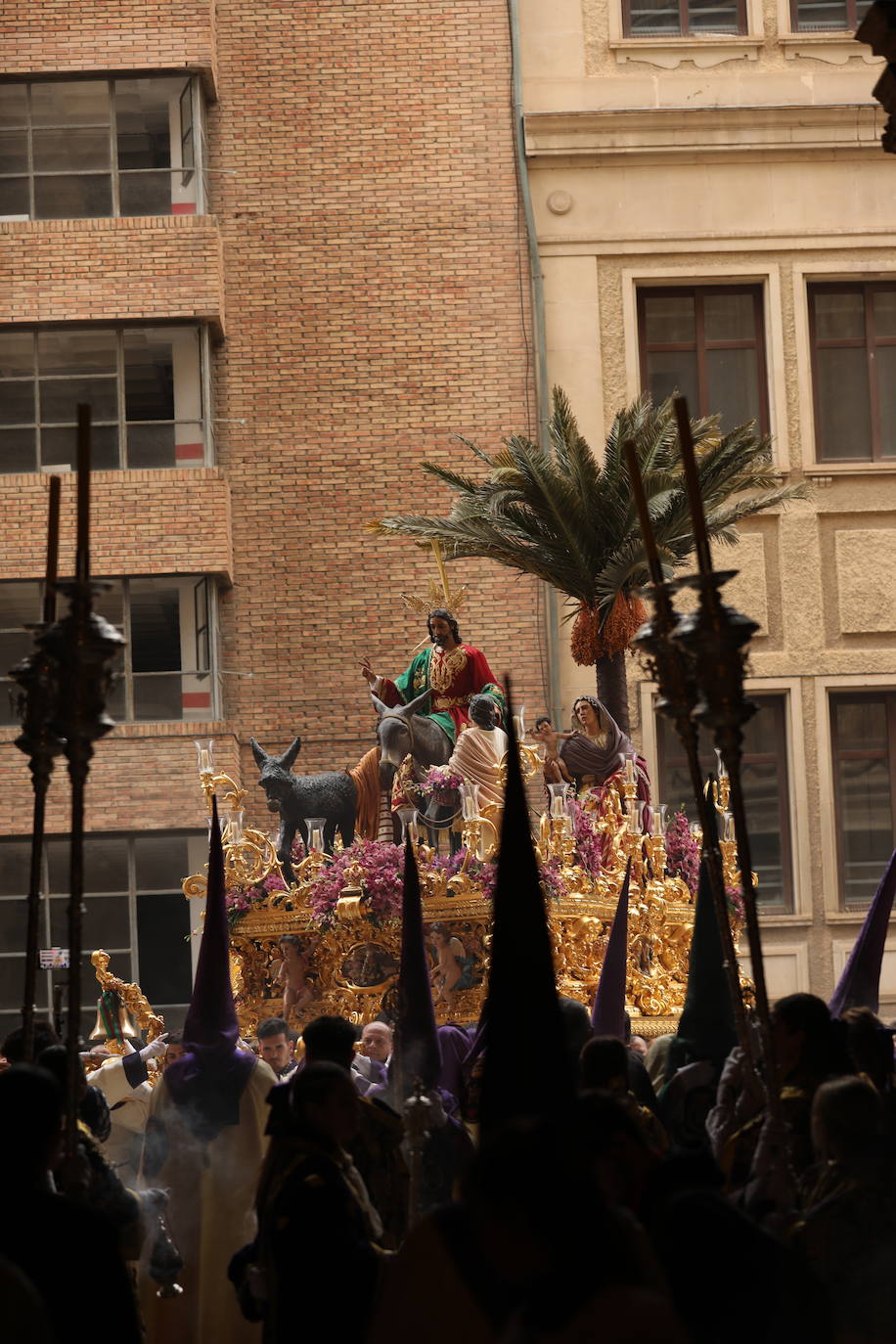 Pollinica, en la Catedral de Málaga, este Domingo de Ramos