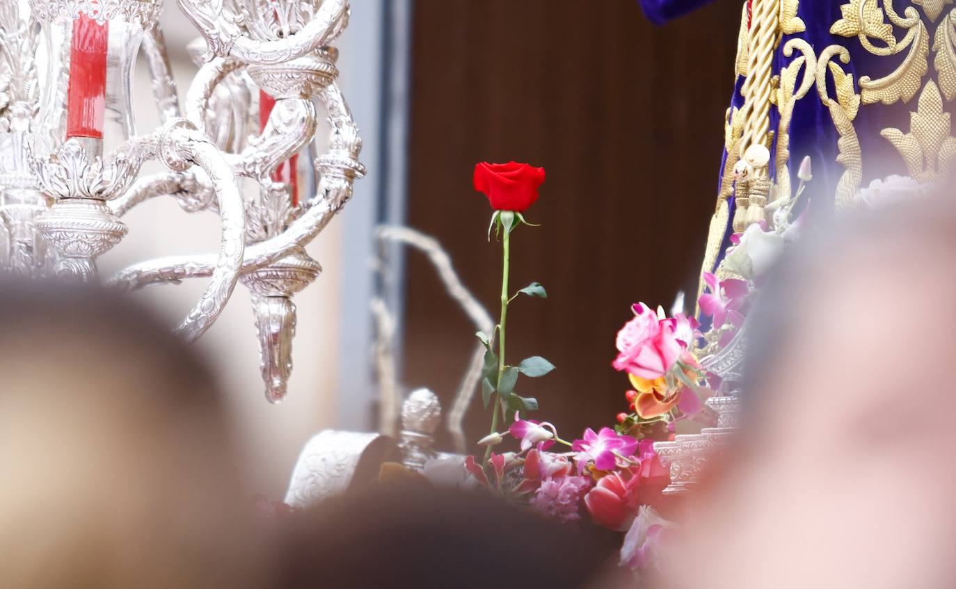 Las mejores imágenes del Domingo de Ramos en Málaga