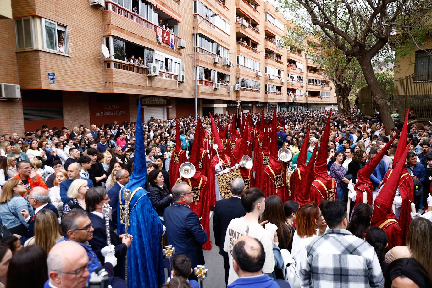 Las mejores imágenes del Domingo de Ramos en Málaga