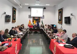 El Pleno del Ayuntamiento de Cártama.