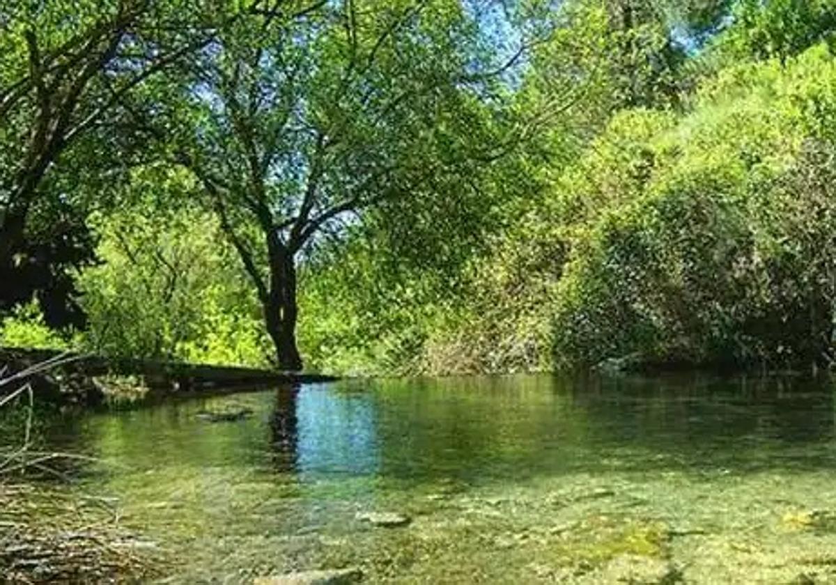 La Junta cifra en más de 12.500 las fuentes naturales y manantiales que hay en Andalucía