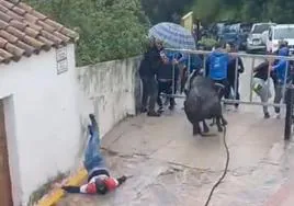 Captura del vídeo en el momento en que el toro embiste al corredor y lo saca del recorrido.