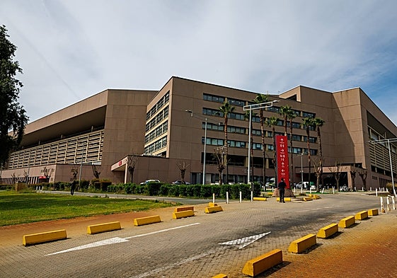 Estadio de La Cartuja, donde este sábado se juega la final de la Copa del Rey.