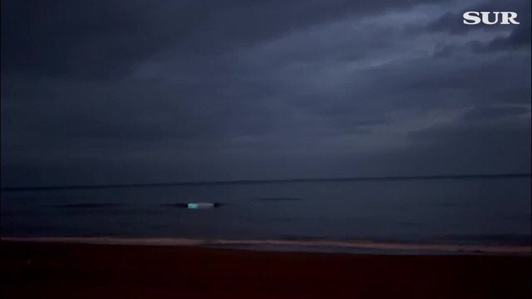 Olas brillantes de color azul en las playas de Rincón de la Victoria