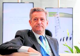 Antonio Gómez-Guillamón, CEO de la consultora malagueña.