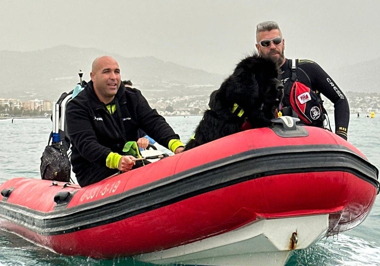 Manuel Durán y Miguel Sánchez, este domingo con Queen, la terranova que participó este pasado domingo en una exhibición con motivo del triatlón de Torre del Mar.