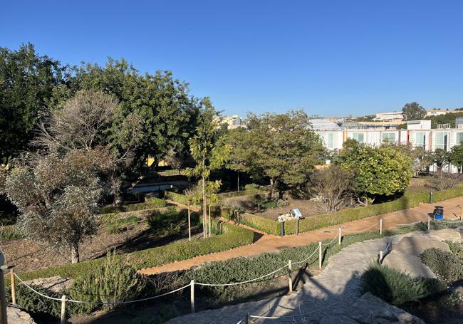 Vista panorámica del Jardín Botánico.