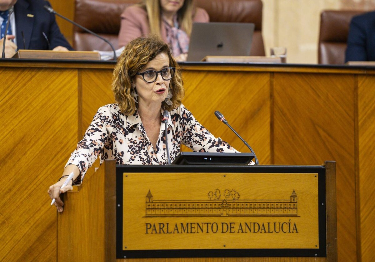 El pleno rechaza una propuesta para facilitar el acceso al empleo público a  personas con discapacidad intelectual | Diario Sur