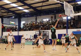 Estepona pujará por acoger la 'final-four' de ascenso a la élite femenina del baloncesto