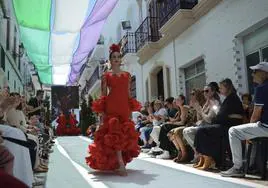La pasarela Alhaurín Flamenca 2024, en imágenes