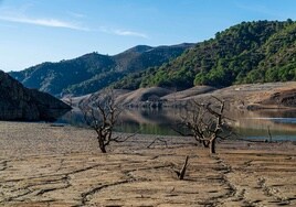 Málaga y la Costa del Sol afrontan el verano con una grave escasez de agua.