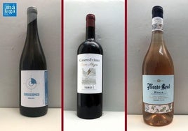 La cata: los vinos destacados de la tercera semana de abril