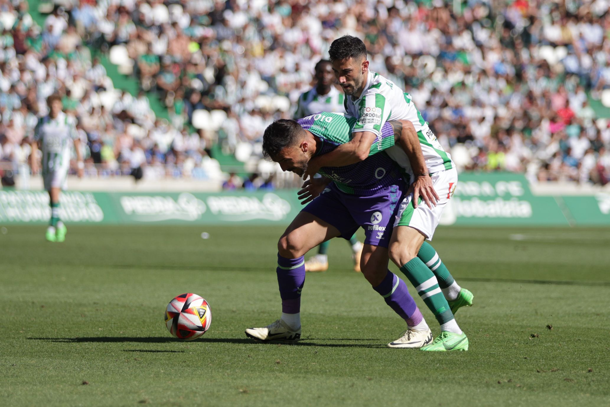 El Córdoba-Málaga, en imágenes