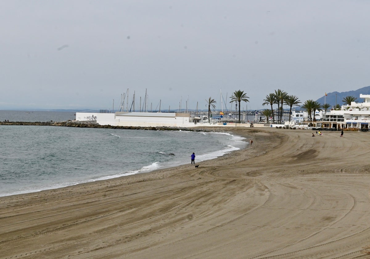 La estabilización de las playas de Marbella y San Pedro lleva 8 meses estancada en la Junta
