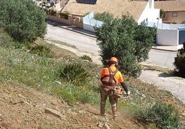 Un operario trabaja en el desbroce de una parcela.