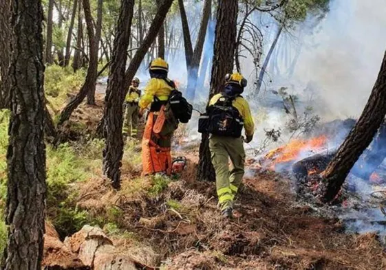 Efectivos del Plan Infoca en labores de extinción en el último incendio de Sierra Bermeja.