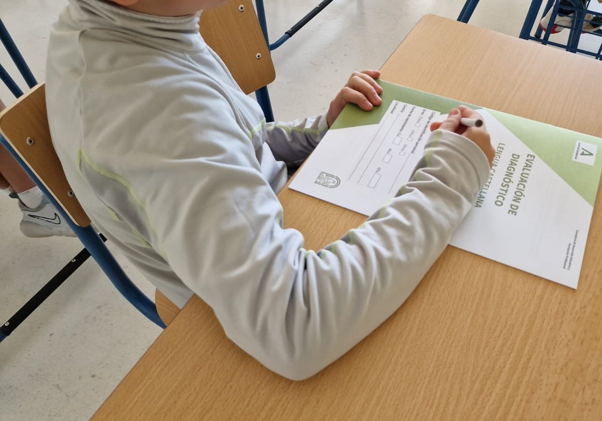 Un alumno se dispone a realizar la prueba en el cuadernillo repartido esta mañana en un colegio.