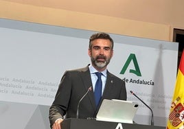 Ramón Fernández-Pacheco, consejero portavoz de la Junta de Andalucía.