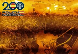 Seis detenidos en Málaga tras caer una red que acaparaba la venta de heroína en la zona oeste