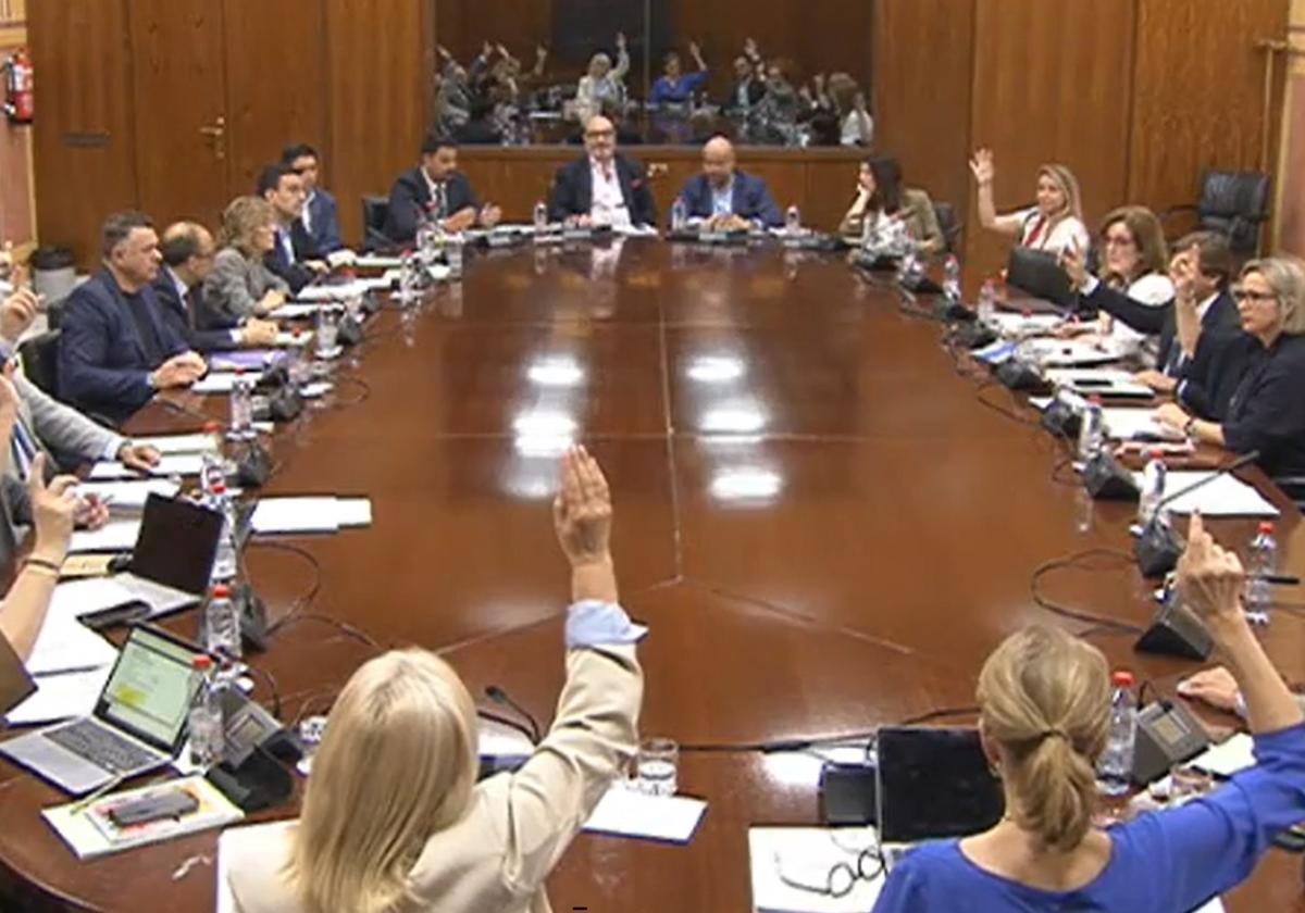 Un momento de la votación en la comisión parlamentaria.