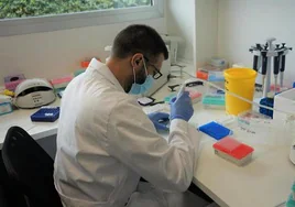 Investigadores andaluces desarrollan un cribado de precisión de hepatitis C basado en Inteligencia Artificial