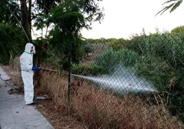 Un operario realiza un protocolo de fumigación para mosquitos invasores.