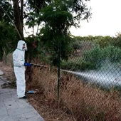 Un operario realiza un protocolo de fumigación para mosquitos invasores.