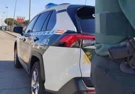Cae una red asentada en Málaga que usaba vehículos de transporte de caballos para traficar con droga
