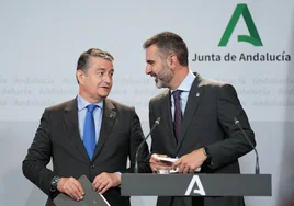 Los consejeros Antonio Sanz y Ramón Fernández-Pacheco, ayer tras el Consejo de Gobierno